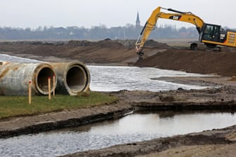 Renaturierung der Fischlandwiesen zwischen Dierhagen und Wustrow: Moore wurden nach dem Zweiten Weltkrieg entwässert.