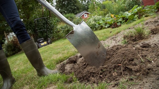 Rasenkante abstechen, Unkraut jäten - Kleingärtner müssen selbst anpacken.