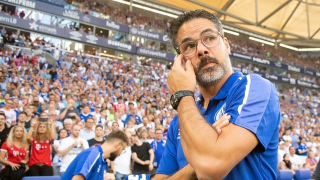 David Wagner ist der Trainer des FC Schalke 04.
