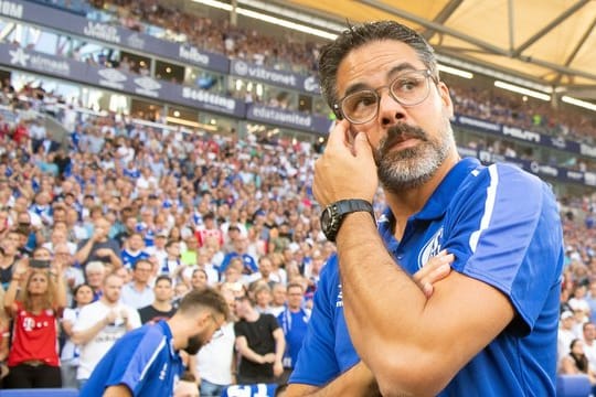 David Wagner ist der Trainer des FC Schalke 04.