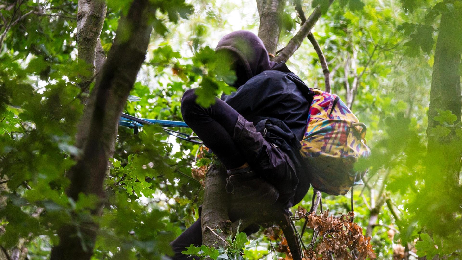 Ein Mann sitzt im Baum: In Hamburg ist eine Waldbesetzung zu Ende gegangen. Ein Mann sitzt im Baum: In Hamburg ist eine Waldbesetzung zu Ende gegangen.