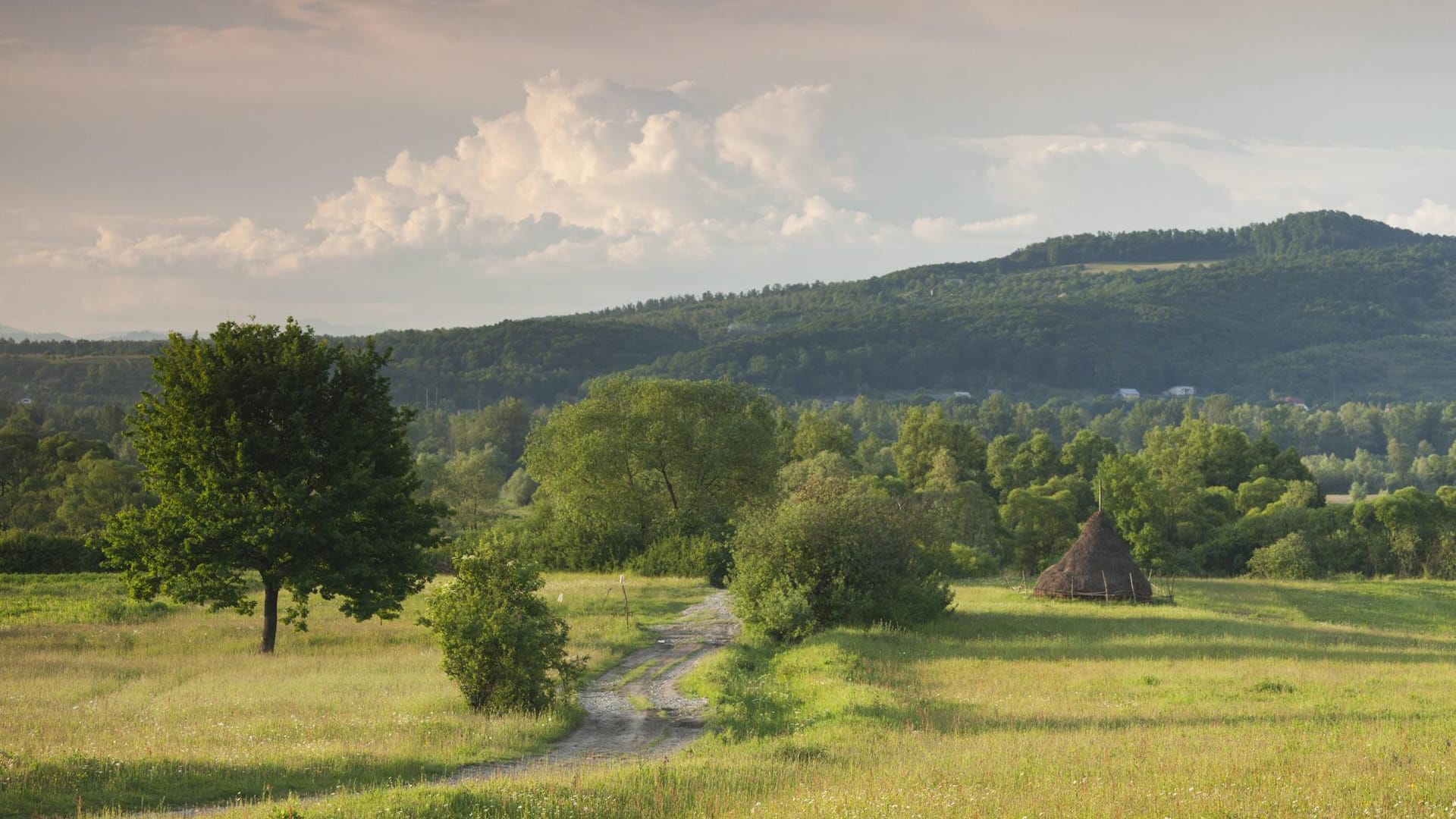 Landschaft in der Maramuresch Region in Rumänien: Hier befindet sich das Sozialprojekt, in dem Jugendliche misshandelt worden sein sollen.