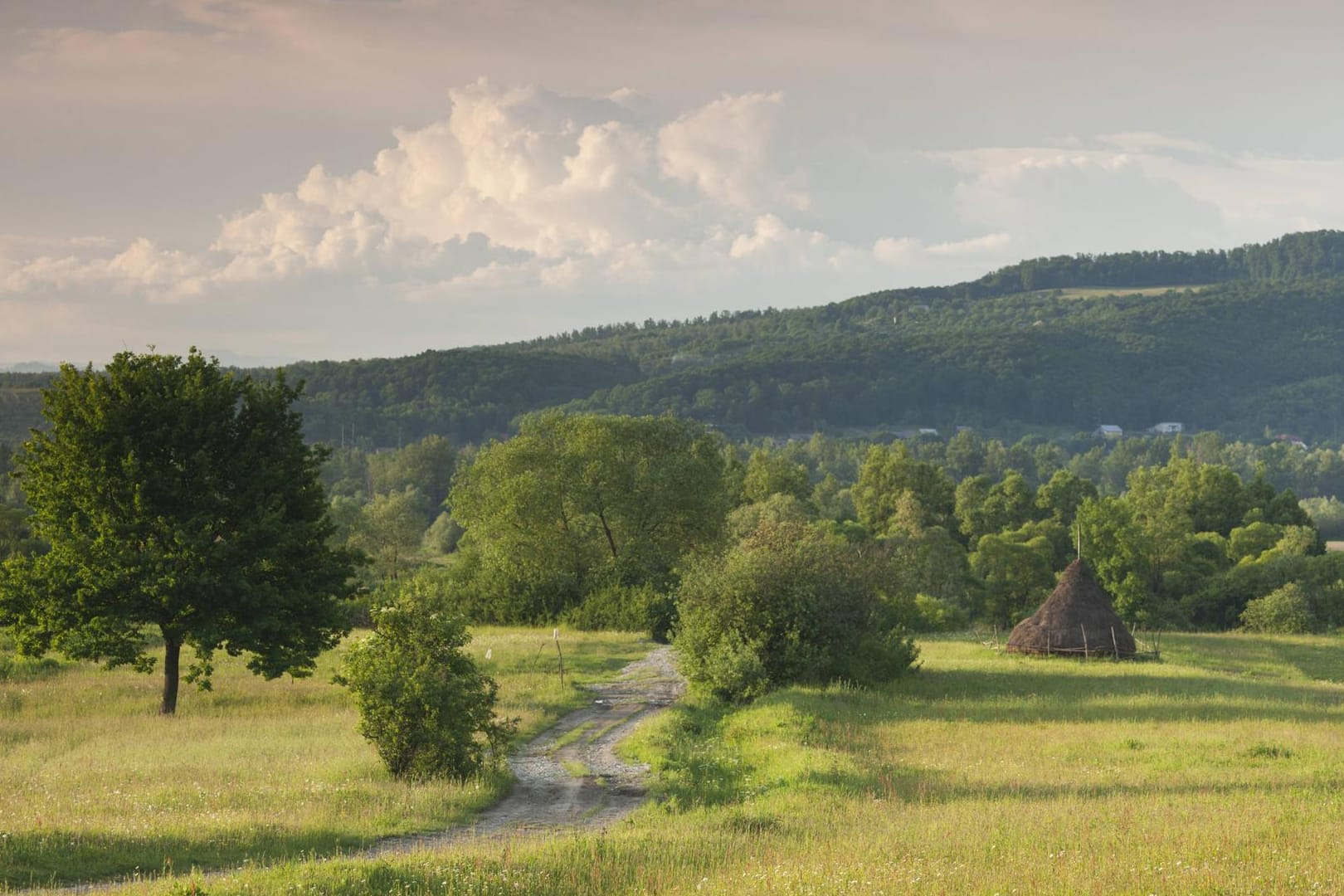 Landschaft in der Maramuresch Region in Rumänien: Hier befindet sich das Sozialprojekt, in dem Jugendliche misshandelt worden sein sollen.