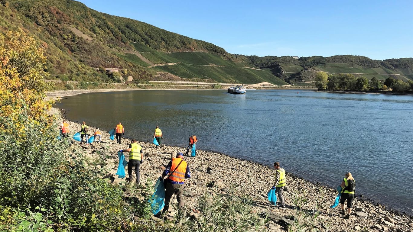 Aktivisten sammeln Müll am Rhein: Im vergangenen Jahr beteiligten sich laut Veranstalter mehr als 10.000 Freiwillige an der RhineCleanUp-Aktion.