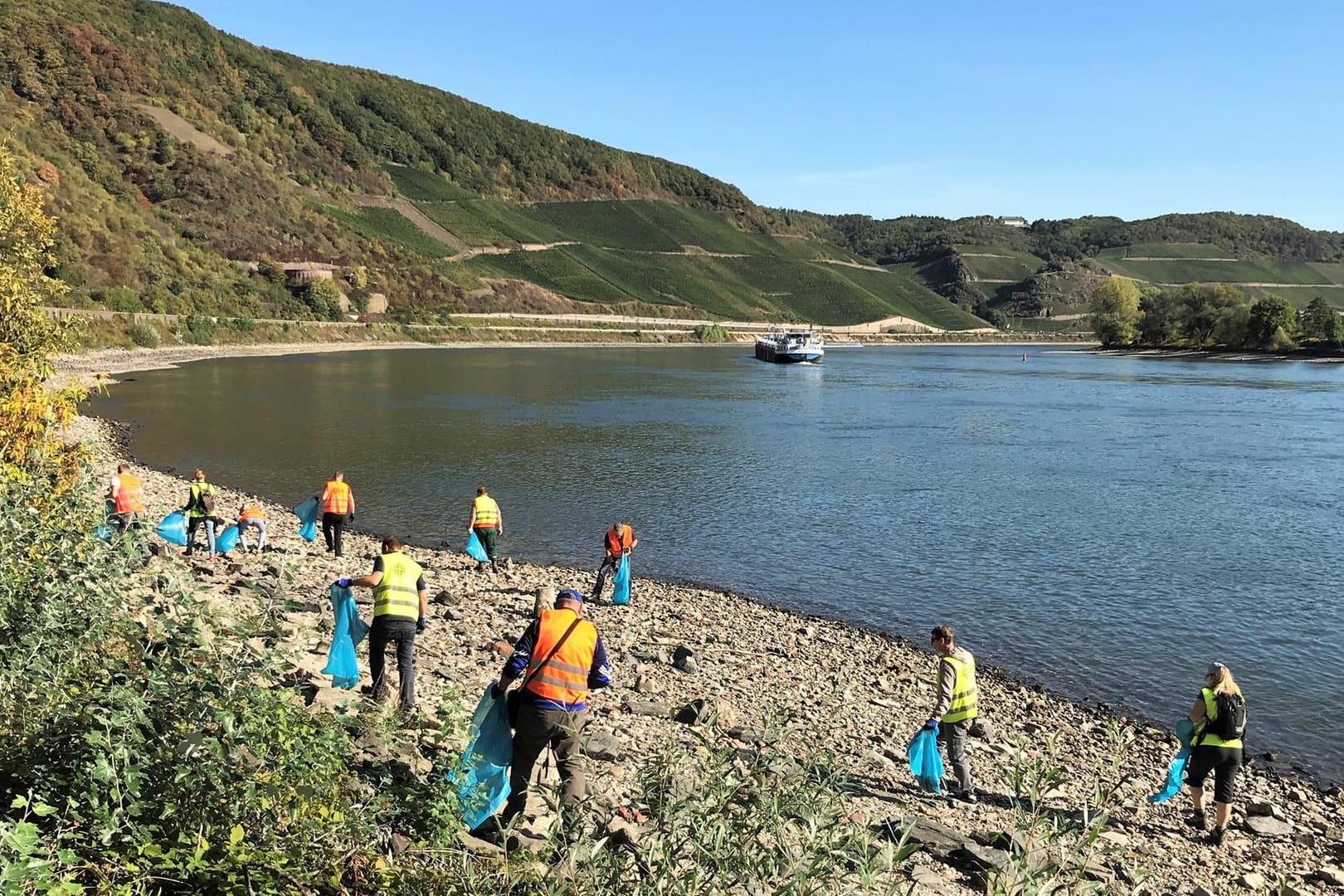 Aktivisten sammeln Müll am Rhein: Im vergangenen Jahr beteiligten sich laut Veranstalter mehr als 10.000 Freiwillige an der RhineCleanUp-Aktion.