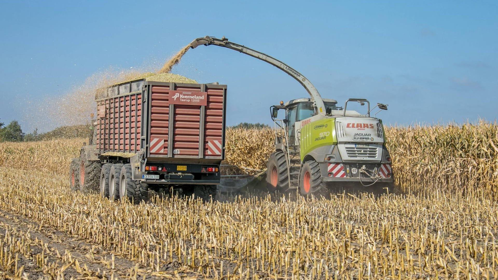 Ein Maishäcksler bei der Ernte: In Sachsen wurde einem Mann eine Erntemaschine zum Verhängnis. Ein Maishäcksler bei der Ernte: In Sachsen wurde einem Mann eine Erntemaschine zum Verhängnis.