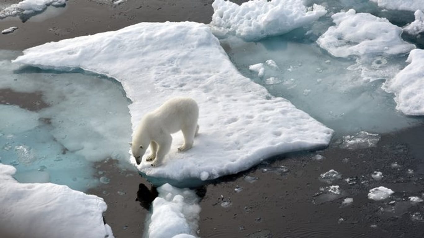 Die von Meereis bedeckte Fläche in der Arktis ist so klein wie seit sieben Jahren nicht mehr.