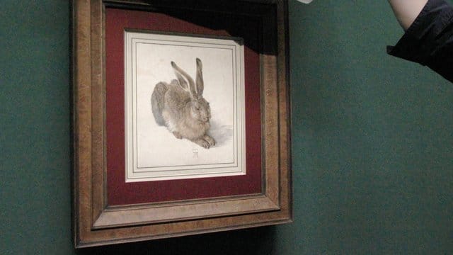 Dürers "Feldhase" in der Albertina.