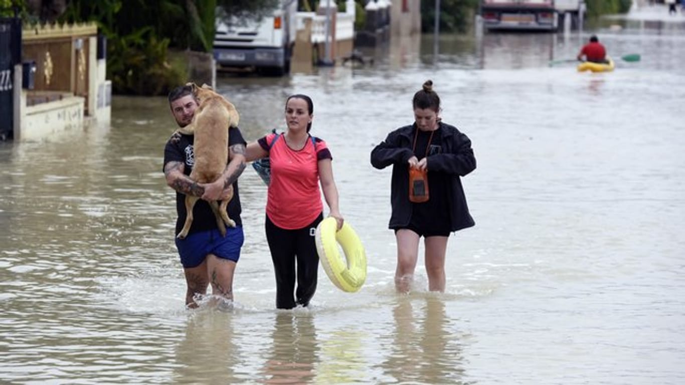 Ein Hund muss nach heftigen Regenfällen über eine überflutete Straße durch den Ort El Raal im Murcia getragen werden.