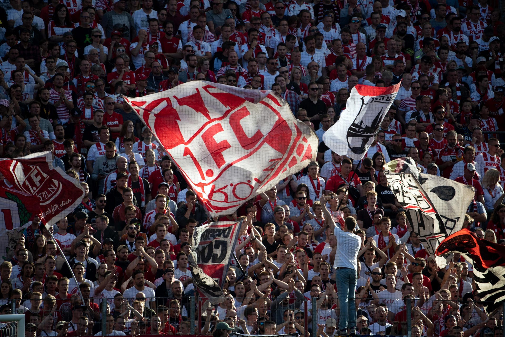 Die Südkurve des 1. FC Köln: Aus diesem Fanblock soll es zum besagten Böllerwurf gekommen sein. (Symbolbild)