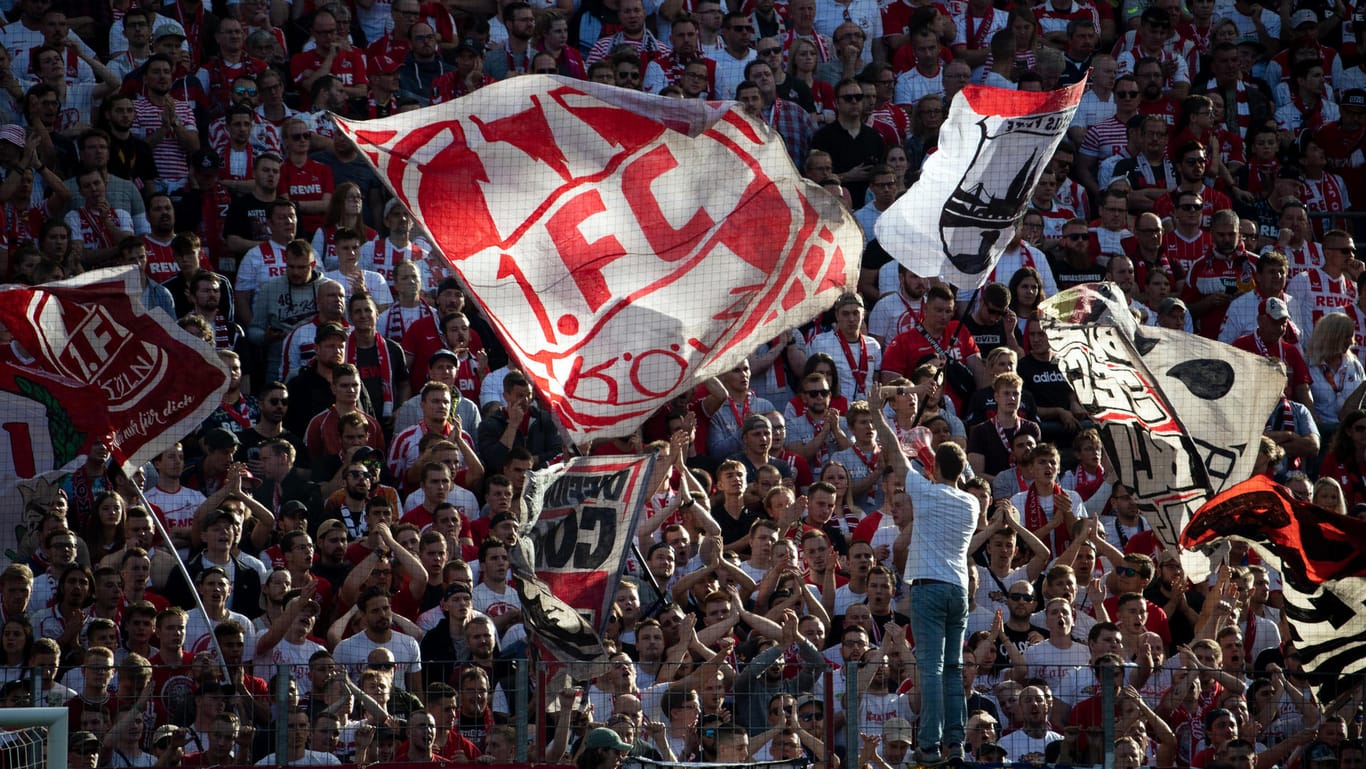 Die Südkurve des 1. FC Köln: Aus diesem Fanblock soll es zum besagten Böllerwurf gekommen sein. (Symbolbild)