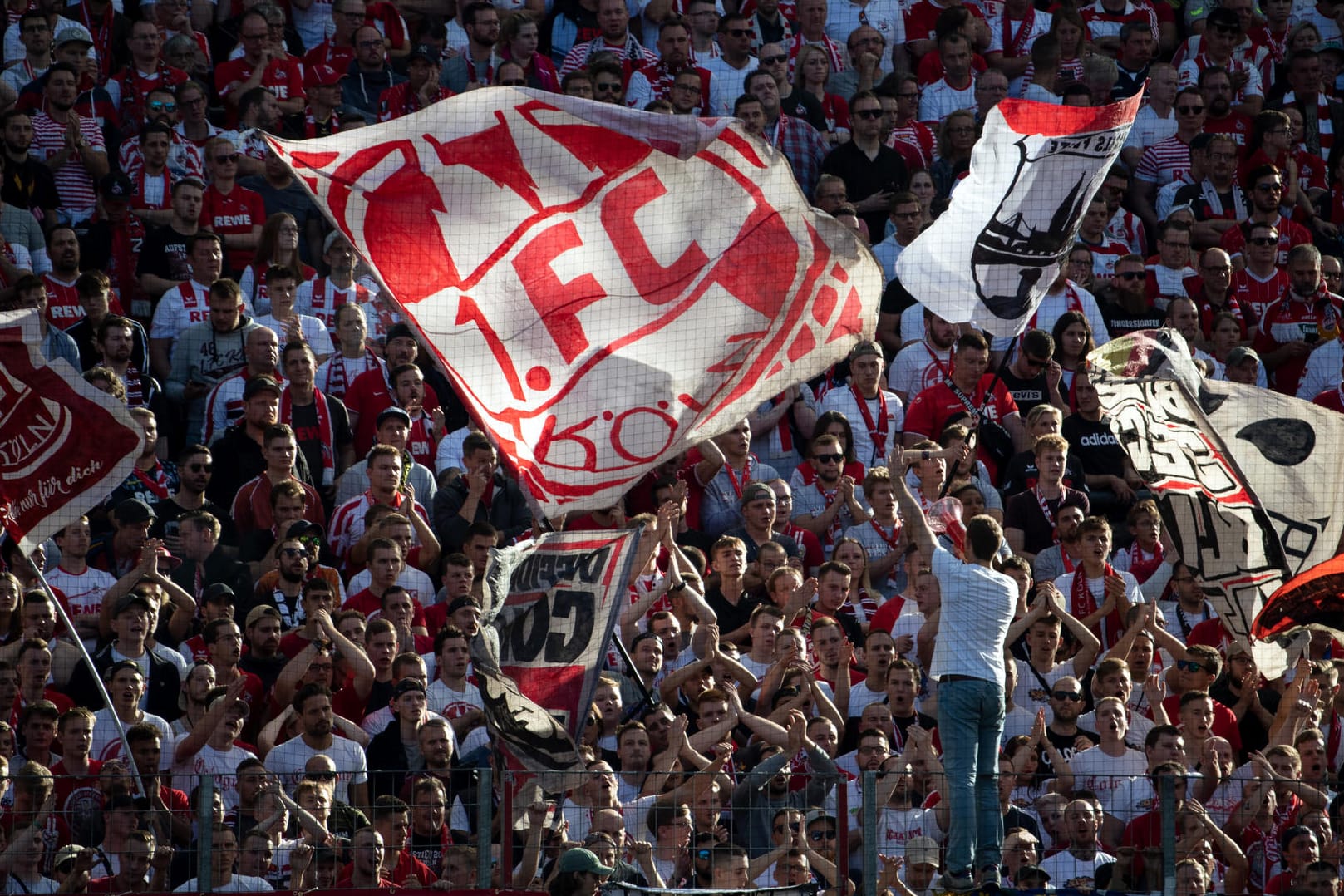 Die Südkurve des 1. FC Köln: Aus diesem Fanblock soll es zum besagten Böllerwurf gekommen sein. (Symbolbild)