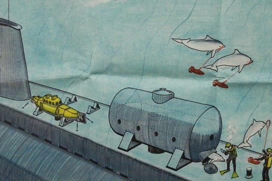 Die Illustration einer "Oxygas"-Operation: Delfine sollten menschliche Taucher ersetzen und etwa Sprengstoff an Schiffen anbringen.