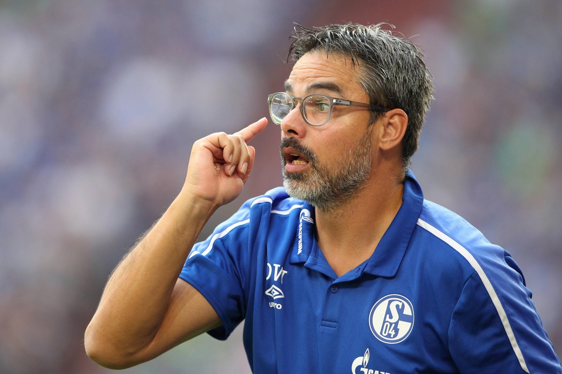 Schalke-Trainer David Wagner.