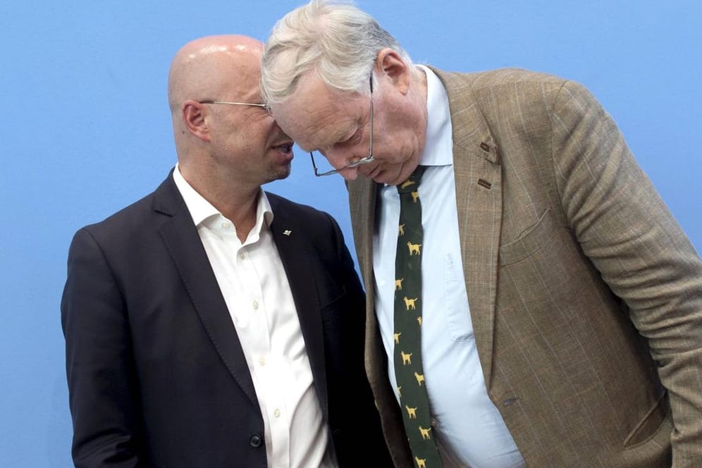 Andreas Kalbitz (l.) und Alexander Gauland: Er könne "nichts Rechtsextremes in ihm finden", sagt Gauland über den Brandenburger Fraktionschef.