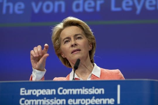 Ursula von der Leyen, zukünftige Präsidentin der Europäischen Kommission, hat Kritik für die Berufsbezeichnung ihres Vizepräsidenten geerntet.