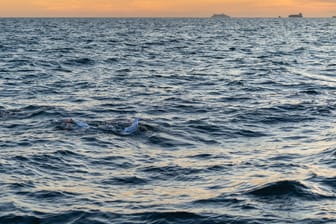 Zwischen den Wellen ist Sarah Thomas zu erkennen: Die Schwimmer widmete ihren Rekord "allen Überlebenden da draußen".