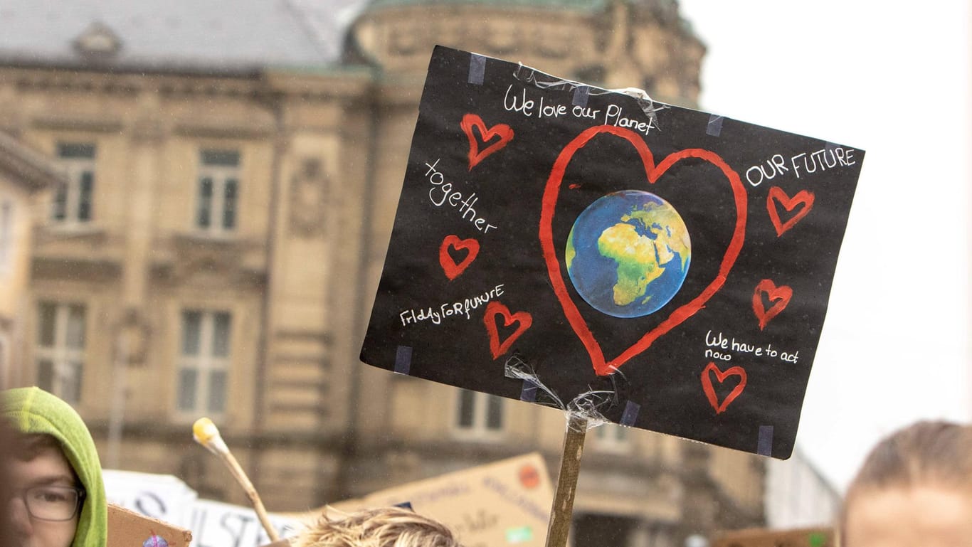 "Fridays For Future"-Plakat: In Karlsruhe ist eine Klima-Demo für Freitag angekündigt.