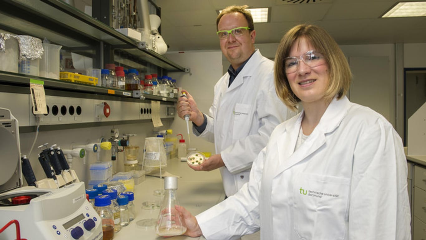Zwei Forscher in einem Labor: Felix Stehle und Julia Schachtsiek haben an der TU Dortmund einen nikotinfreien Tabak entwickelt.