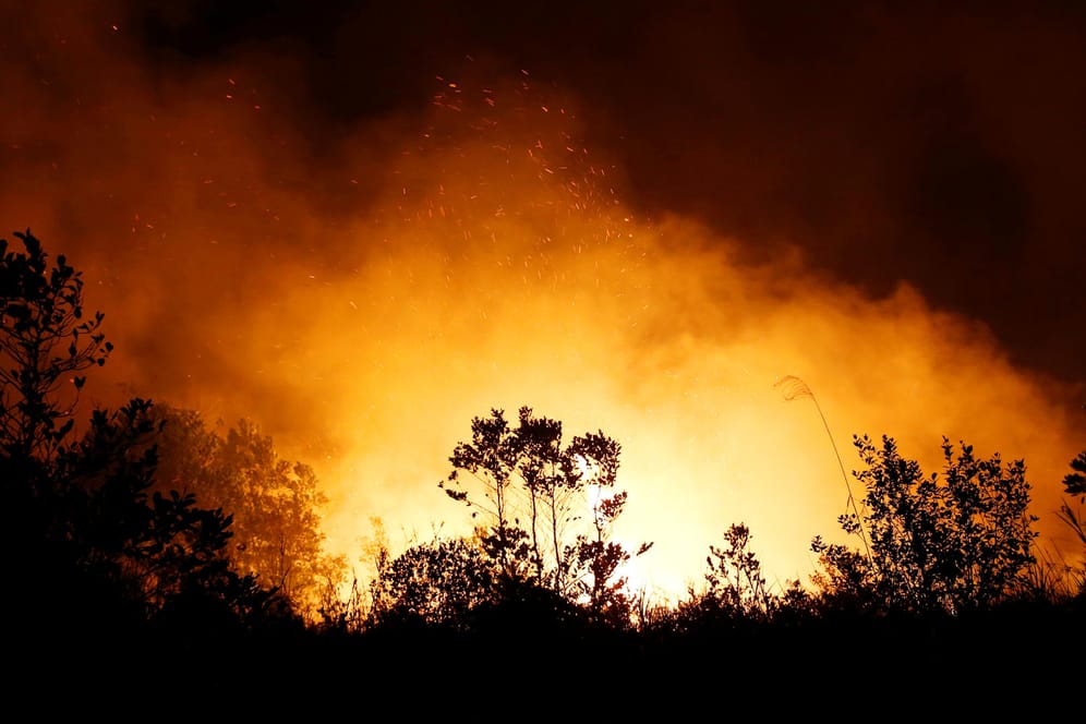 Brände auf Borneo