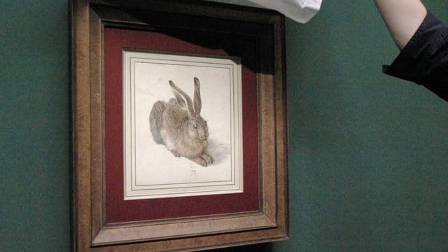 Der "Feldhase" (1502) von Albrecht Dürer in der Albertina.
