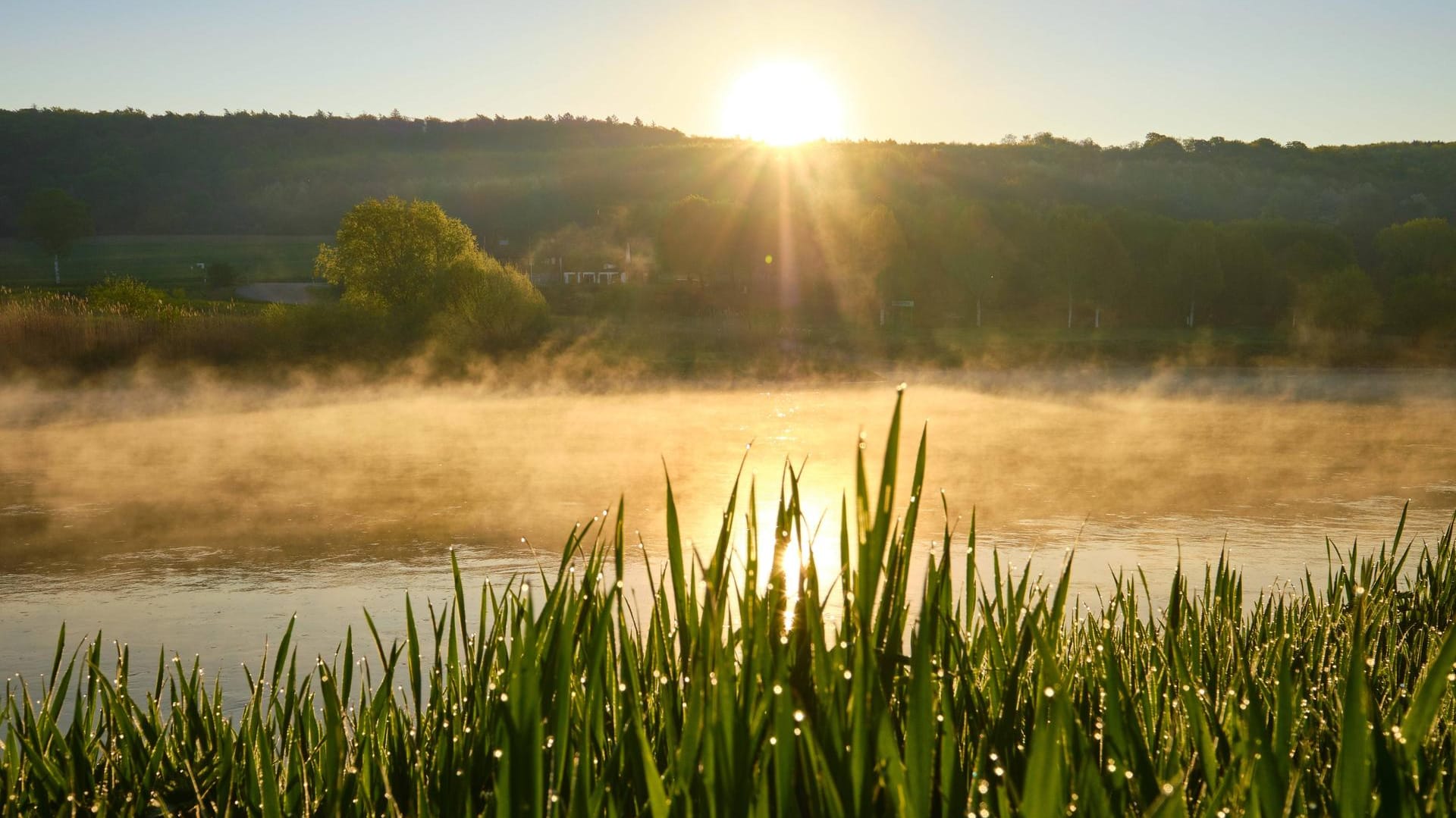 Nebel am Morgen: Sommer und Herbst wechseln sich derzeit noch ab.