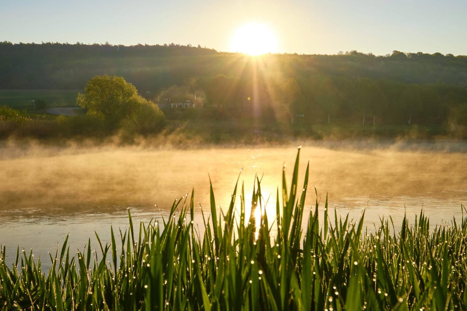 Nebel am Morgen: Sommer und Herbst wechseln sich derzeit noch ab.