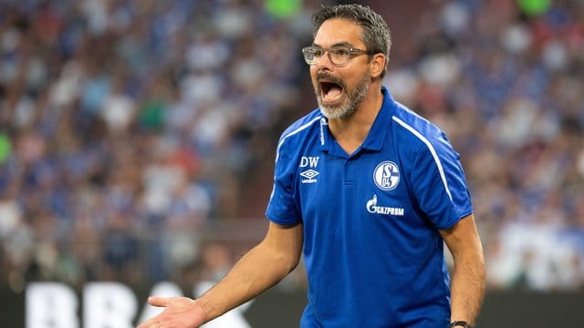 Schalke-Trainer David Wagner würde mit seinem Team gerne die Tabellenführung übernehmen. Schalke-Trainer David Wagner würde mit seinem Team gerne die Tabellenführung übernehmen.