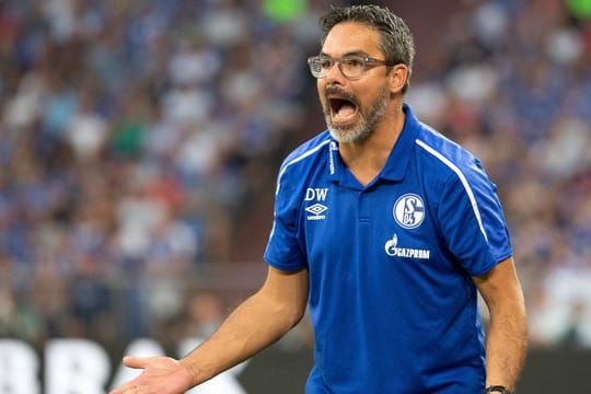 Schalke-Trainer David Wagner würde mit seinem Team gerne die Tabellenführung übernehmen.