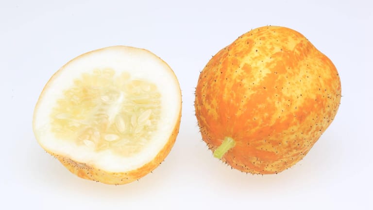 Zitronengurken: Obwohl sie ganz anders aussehen, können Zitronengurken wie Salatgurken roh gegessen werden.