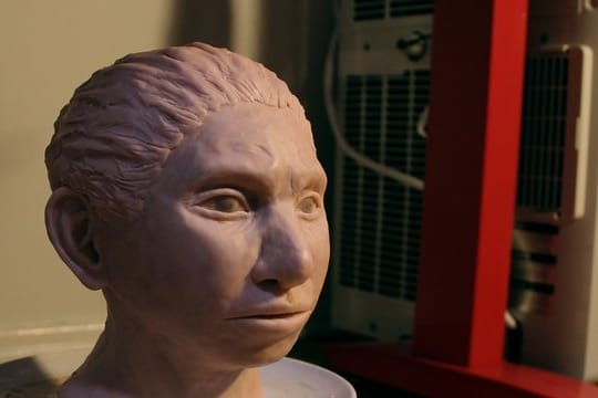 Der Kopf eines jugendlichen weiblichen Denisova-Urmenschen, der auf der Basis eines Skelett-Profils und DNA-Merkmalen kreiert wurde.