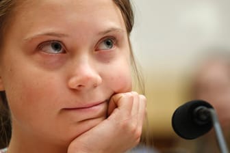 Klima-Aktivistin Thunberg: Was halten die Deutschen von ihren Protestaktionen?