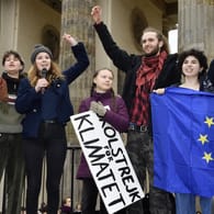 Aktivisten demonstrieren mit Greta Thunberg vor dem Brandenburger Tor: In nur einem Jahr wurde aus einem einsamen Sitzstreik eine einflussreiche Bewegung.