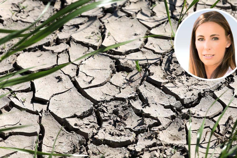 Auf einem Acker haben sich Risse gebildet: Der Sommer 2019 mit seinen langen Trockenperioden hat Auswirkungen auf das Grundwasser und die Fruchtbarkeit der Felder.