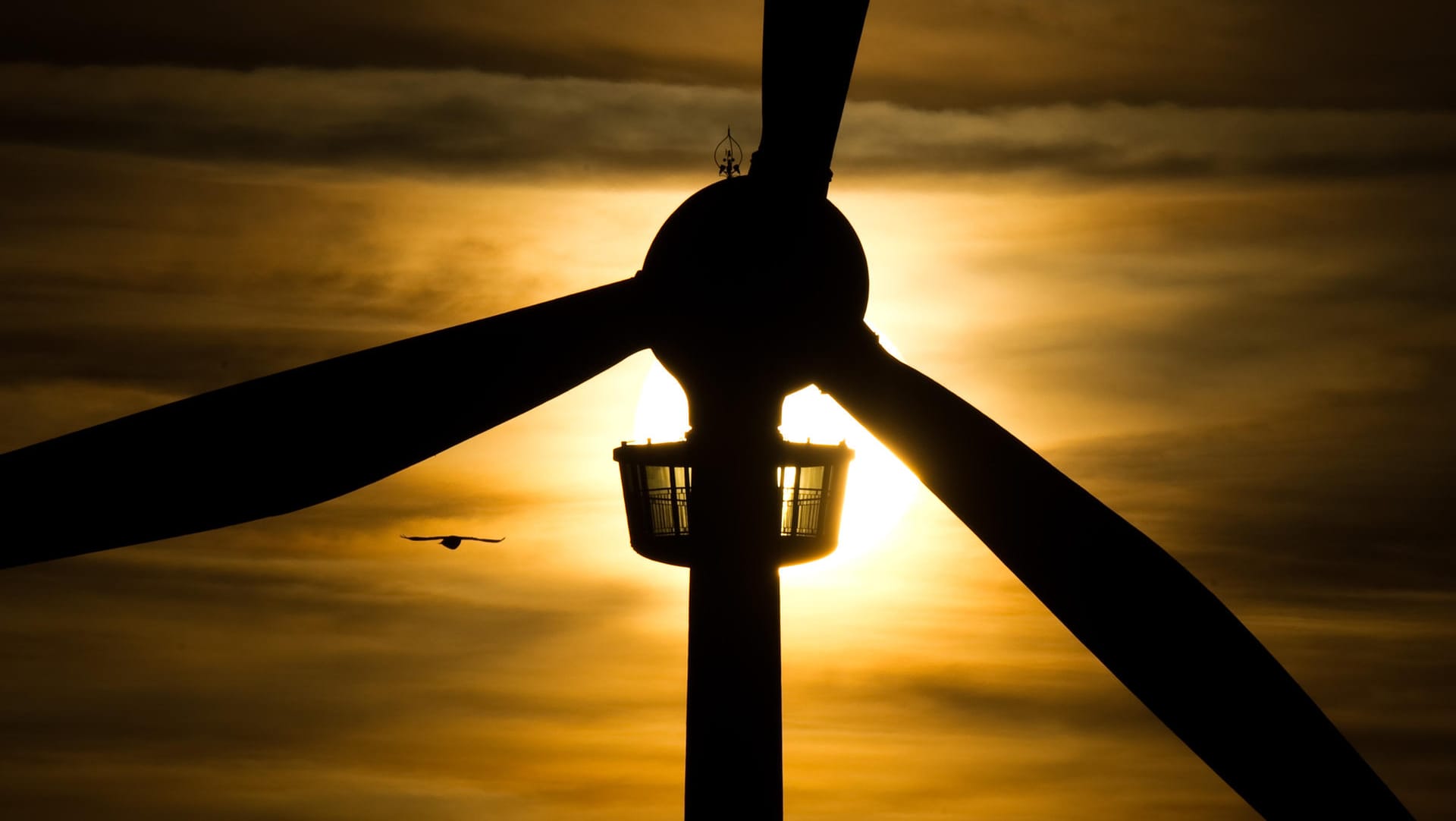 Sonnenaufgang mit Windrad in Niedersachsen: "Beim Klimaschutz Maß und Mitte nicht aus den Augen verlieren." (Symbolfoto)