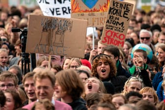 Klima-Demonstranten in Berlin: Viele äußerten ihren Ärger über den Kompromiss des Klimakabinetts.
