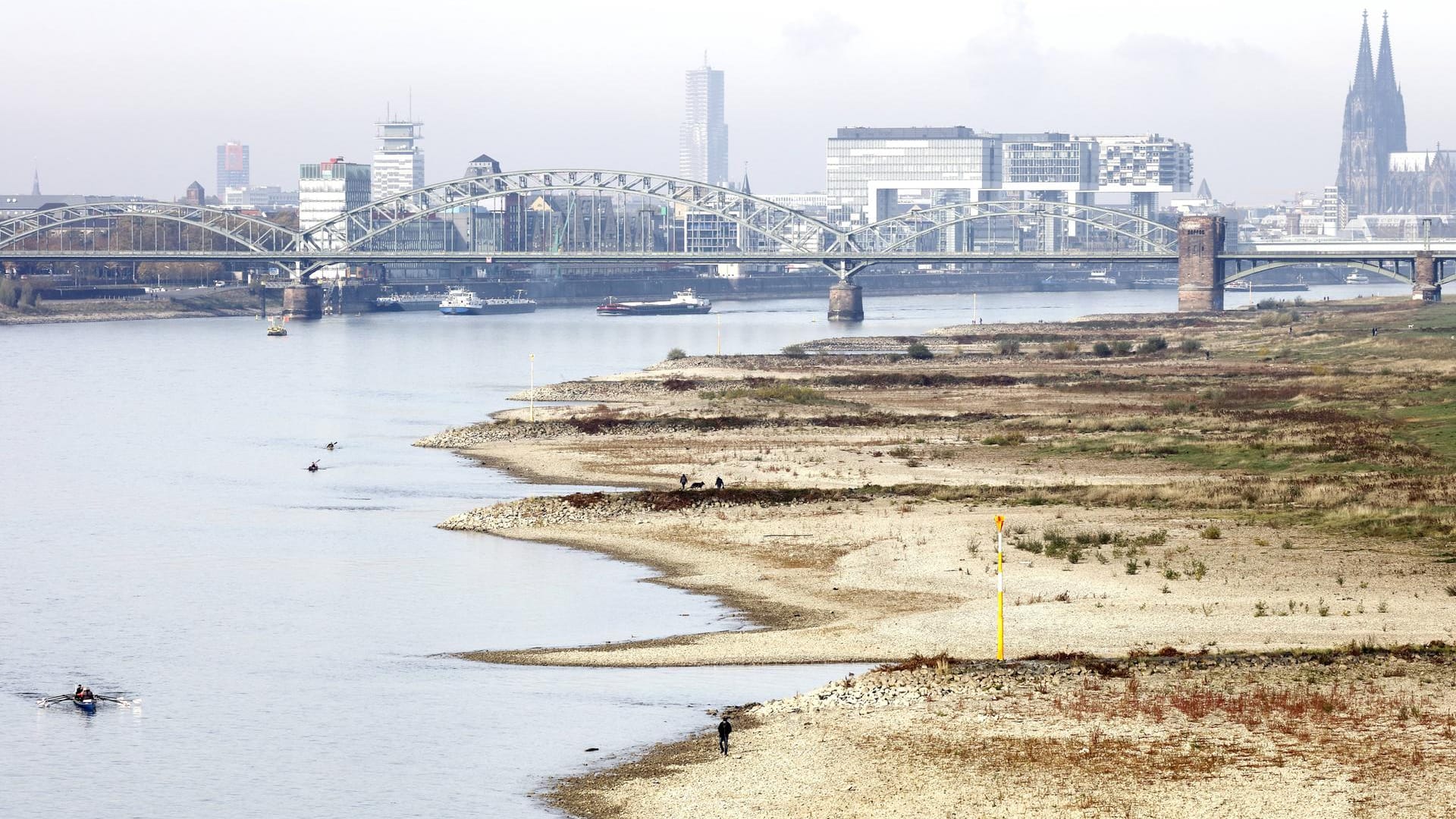 Niedrigwasser am Rhein: BASF gab 2018 Dürrefolgeschäden in Höhe von 250 Millionen Euro an.