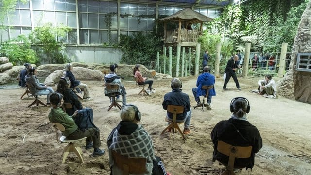 Zuschauer verfolgen die Generalprobe zur Uraufführung der szenischen Installation "Der sechste Kontinent" im Elefantenhaus des Zoos. Zuschauer verfolgen die Generalprobe zur Uraufführung der szenischen Installation "Der sechste Kontinent" im Elefantenhaus des Zoos.