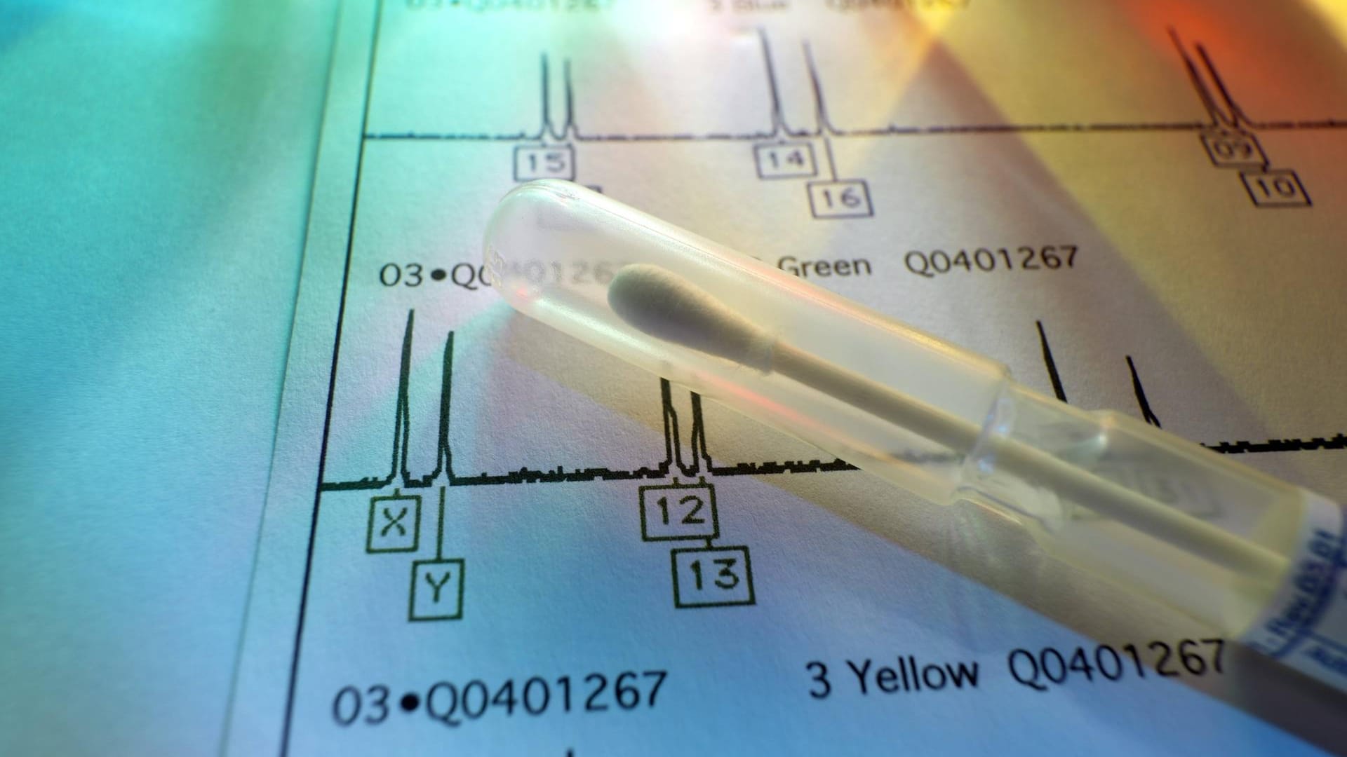 Gentest: Mittlerweile gibt es kommerzielle Anbieter für genetische Untersuchungen zur Ahnenforschung.