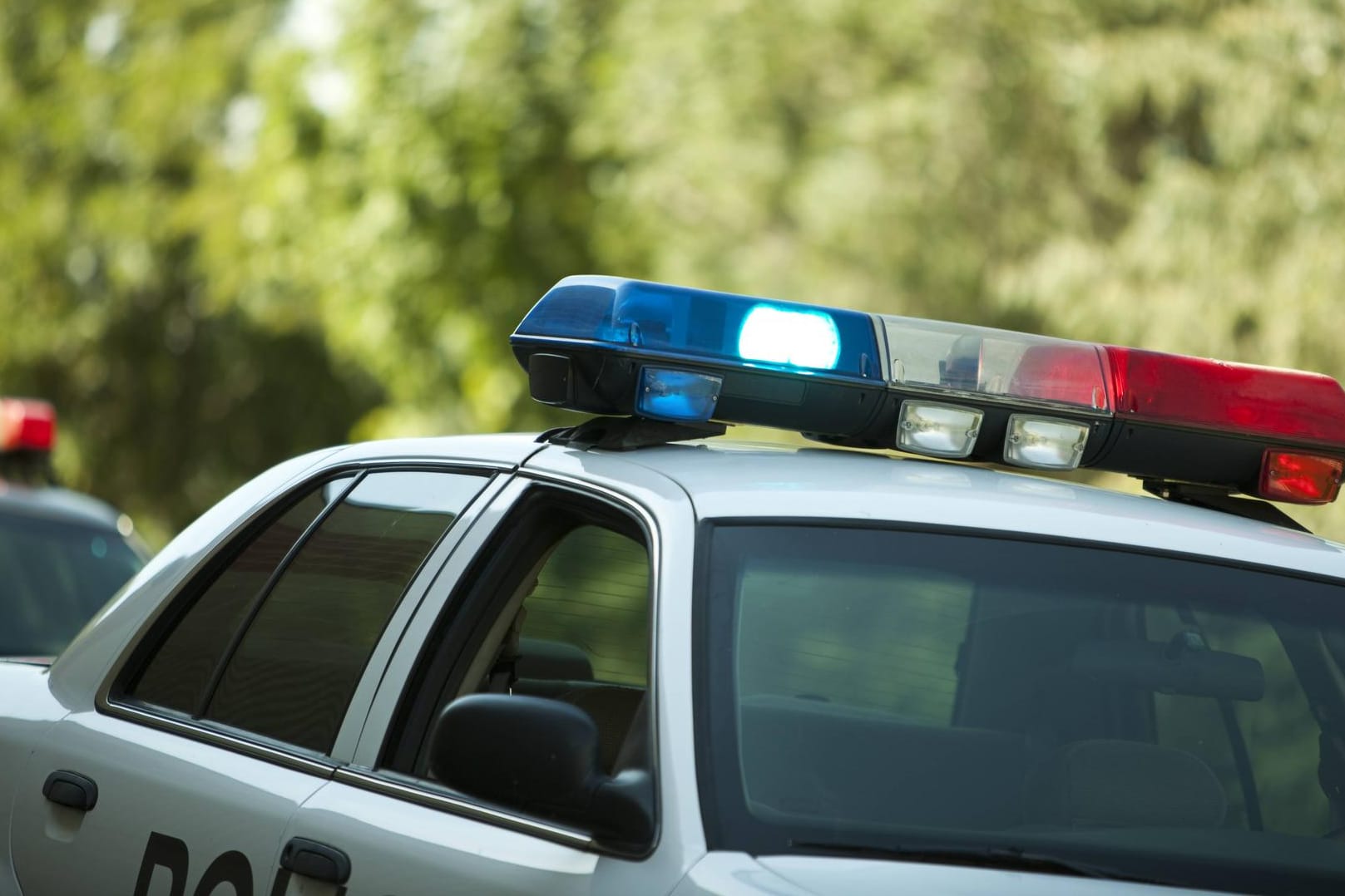 Polizeiauto in den USA: Eine Einbrecherin ist mit ihrer Beute von Beamten erwischt worden. (Symbolbild)