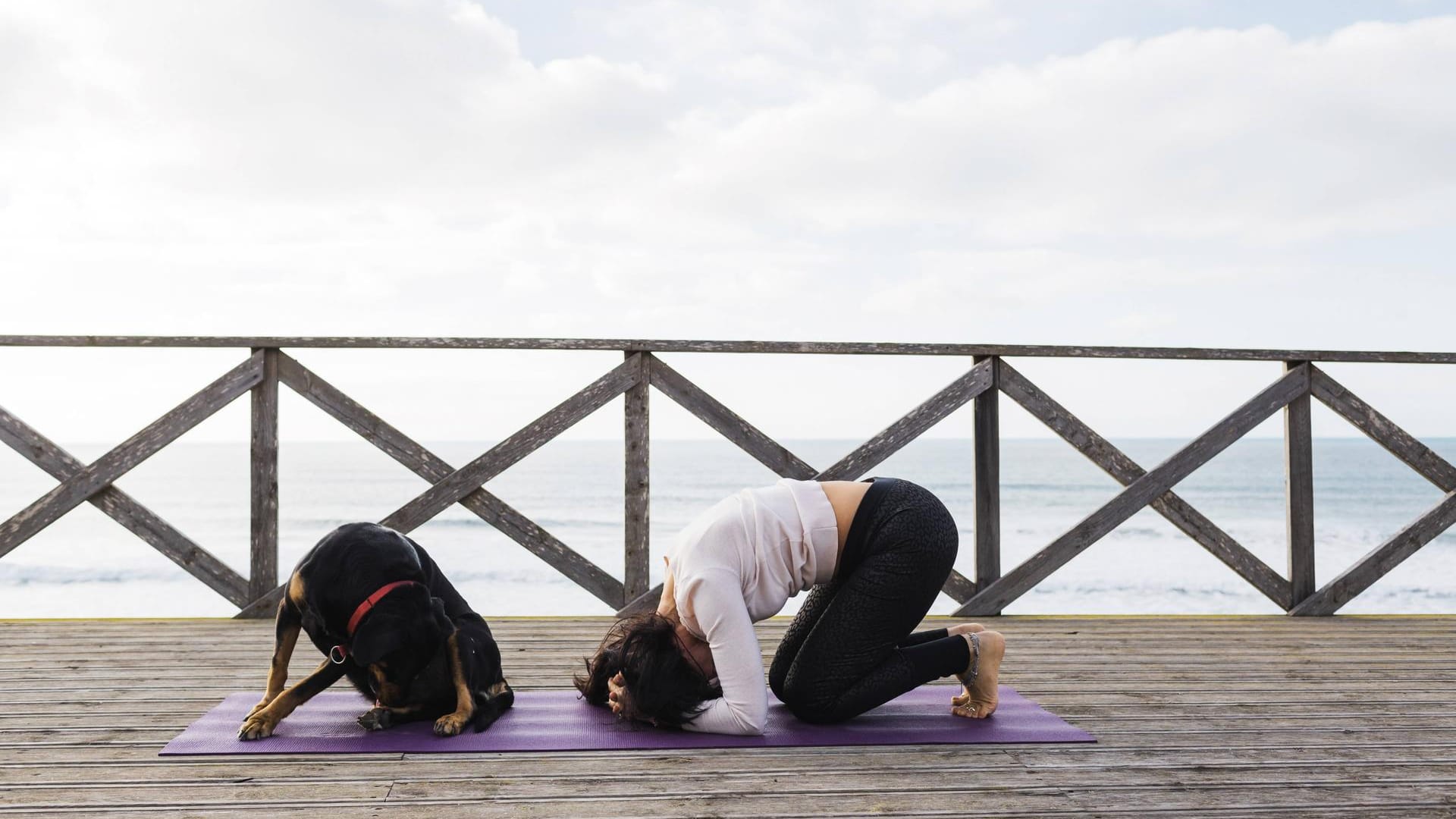 Yoga mit Hund im Freien: Seitdem es Doga gibt, ist das kein Problem mehr.