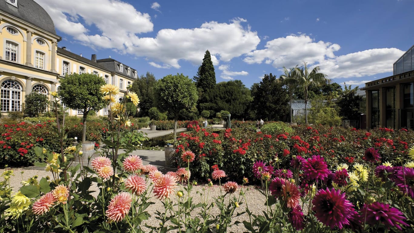 Botanische Gärten in Bonn: Der Landschaftsgarten befindet sich rund ums Poppelsdorfer Schloss.