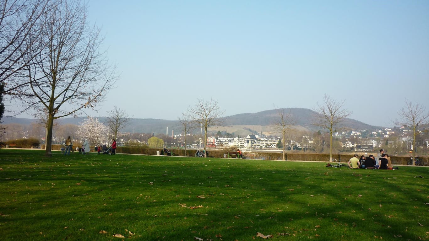 Der Panoramapark in Rüngsdorf: Von dort aus hat man einen einzigartigen Blick auf das Siebengebirge.
