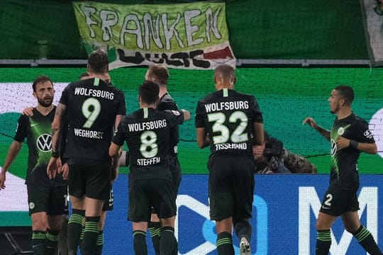 Die Spieler vom VfL Wolfsburgs feiern den Treffer von Admir Mehmedi (l) zum 1:1 gegen 1899 Hoffenheim.