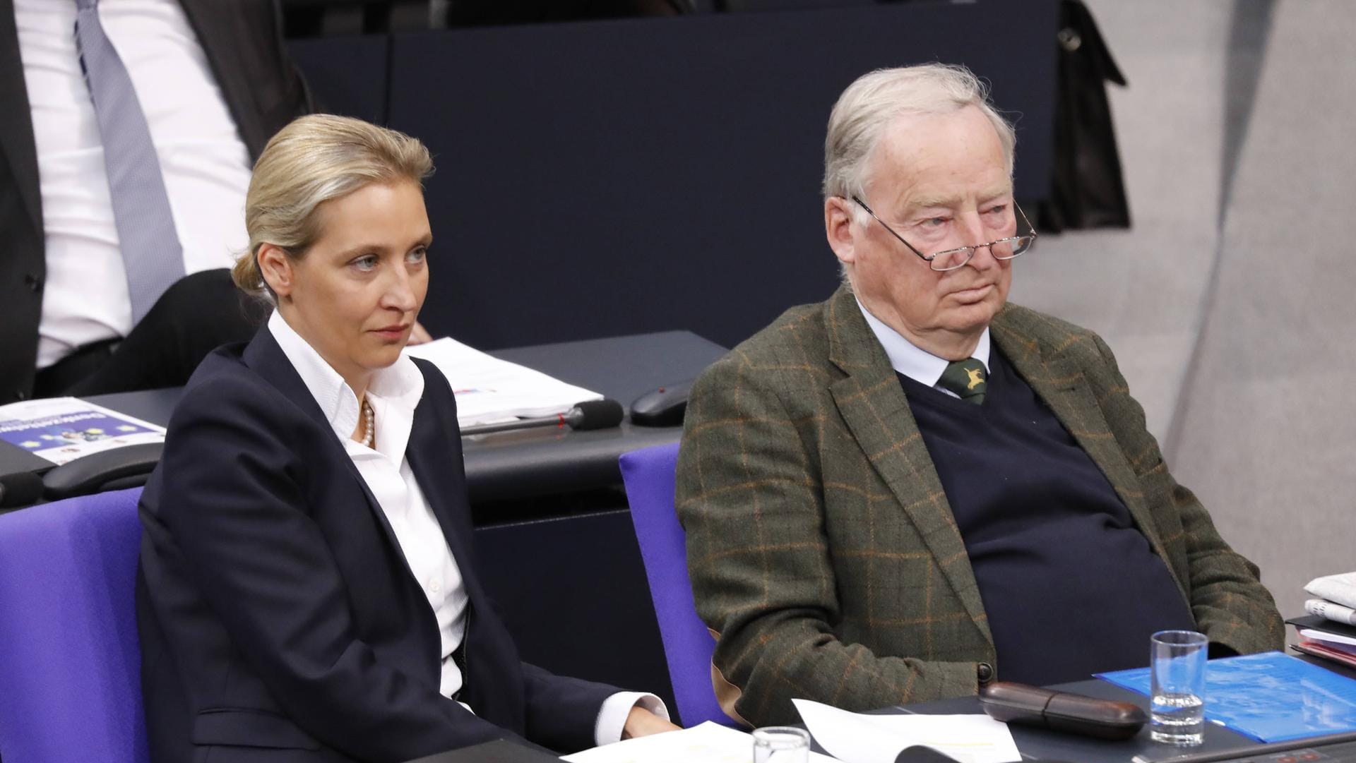 Alice Weidel und Alexander Gauland, Parteivorsitzende der AfD: Die Fraktion wollte dem Bundespräsidenten untersagen lassen, drei vom Bundestag beschlossene Gesetze zu unterzeichnen.