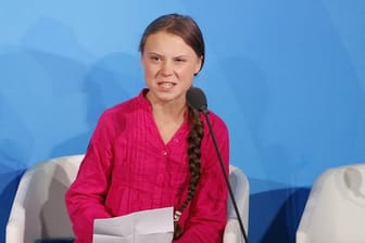 Für ihren Einsatz im Kampf gegen den Klimawandel ist Greta Thunberg mit dem Alternativen Nobelpreis ausgezeichnet worden.