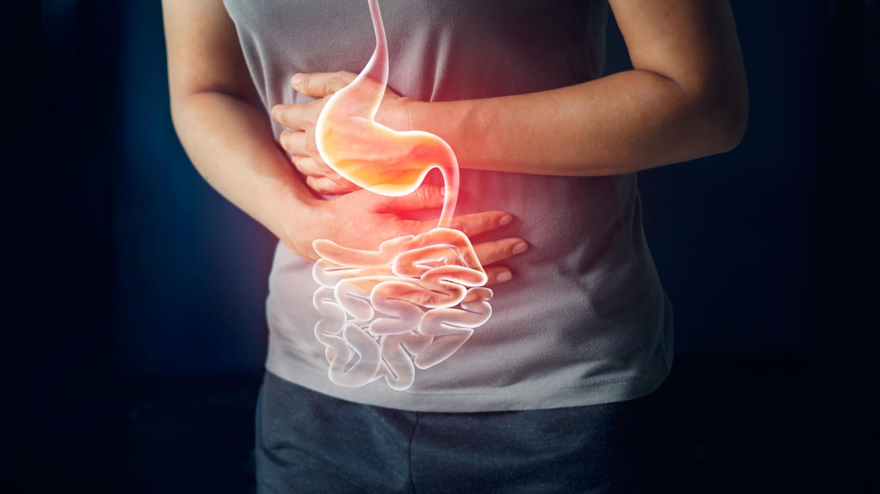 Morbus Crohn Ursachen, Symptome und Behandlung