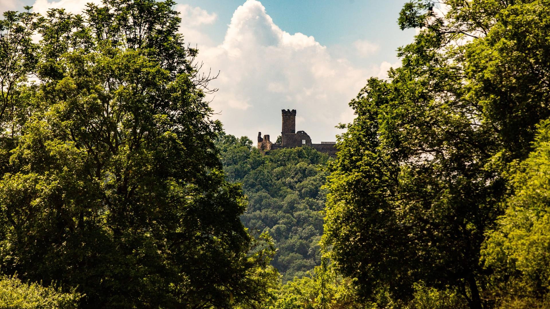 Die Mühlburg: Eine der Drei Gleichen, die in Wandersleben im Naturschutzgebiet Schloßleite steht.