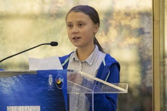 Greta Thunberg spricht in New York: Die 16-Jährige wird in diesem Jahr neben drei weiteren Preisträgern mit dem Alternativen Nobelpreis ausgezeichnet.