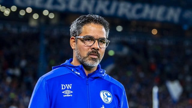 Fühlt sich wohl auf Schalke: Coach David Wagner.